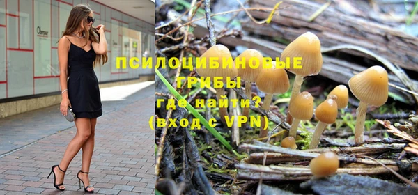 гидропоника Алексеевка