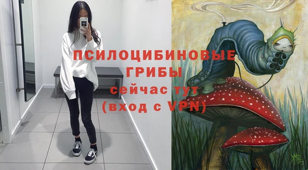 скорость Алексин