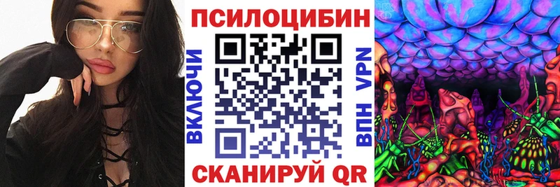 Псилоцибиновые грибы прущие грибы  наркота  Камызяк 